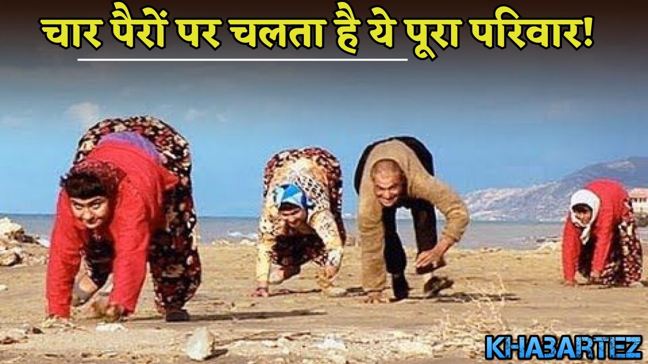 This whole family walks on four legs!